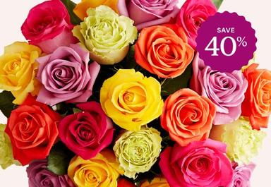 Header navigation sub menu